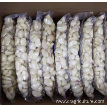 First Grade Vacuum Pure Garlic Peeled